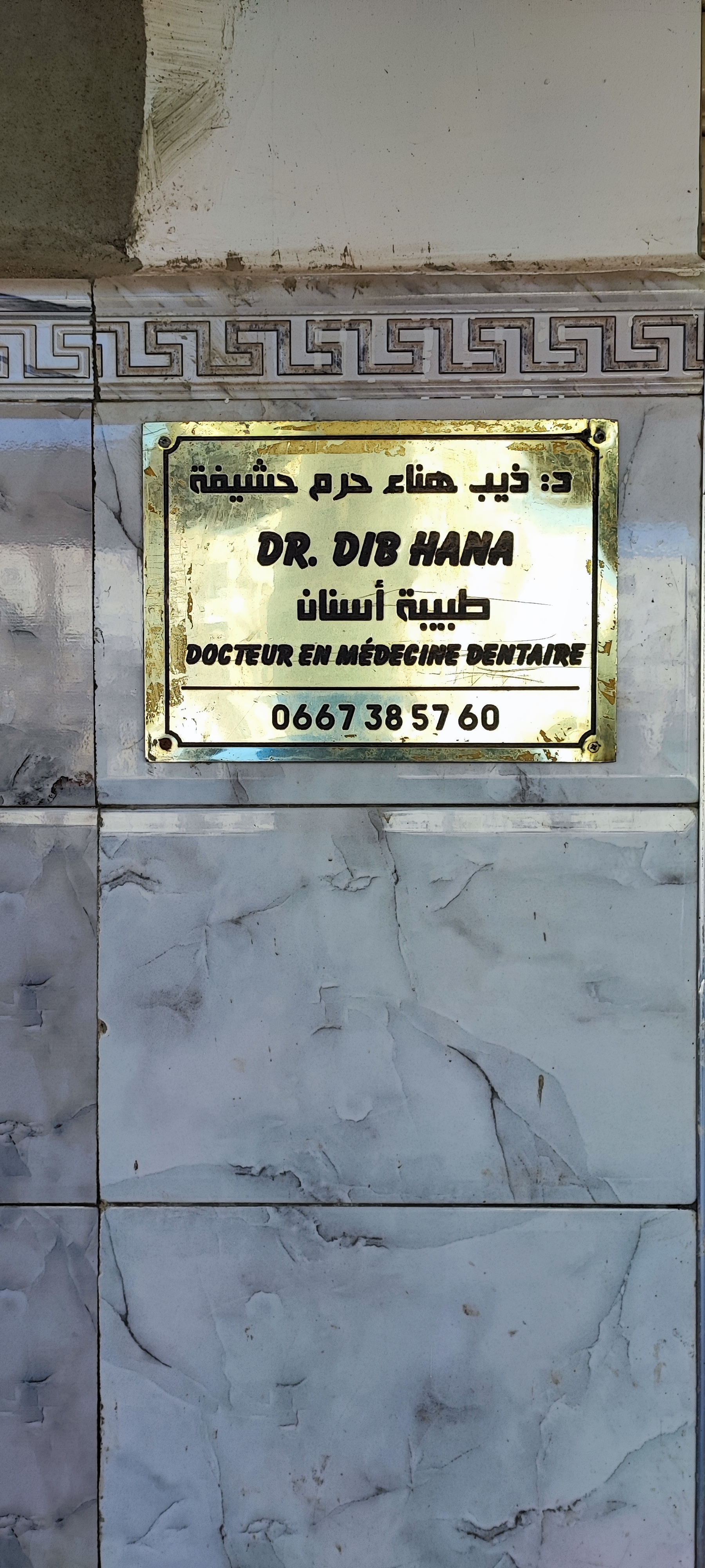 د. ذيب هناء حرم حشيفة